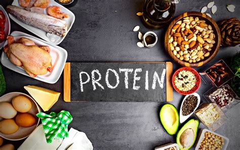 What Is A Complete Protein? + 23 Complete Protein Examples