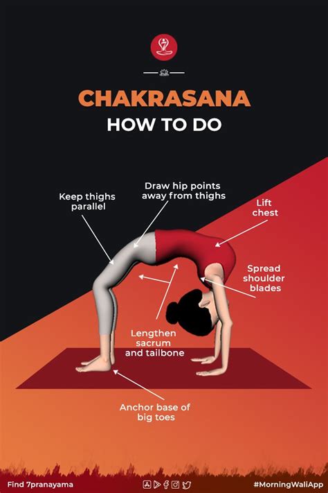 Chakrasana Wheel Pose Steps And Benefits Sarvyoga Yoga - Riset