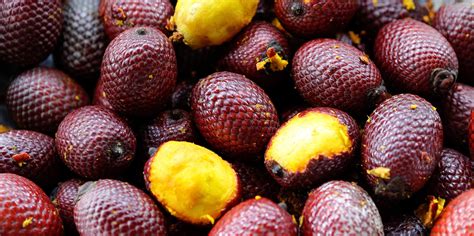 Science Roundup: What are the Health Benefits of Superfruits? - AMAYU