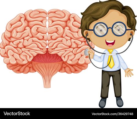 Big brain with a doctor cartoon character Vector Image