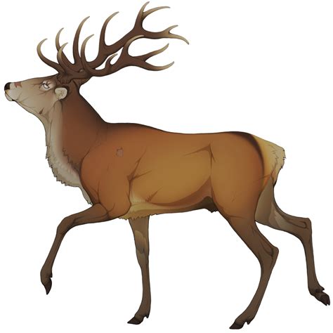 Elk clipart golden deer, Elk golden deer Transparent FREE for download ...