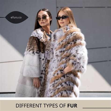 Types of fur coats: Fur Identification Guide - eFurs