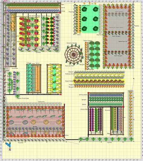 Garden Plan - 2016: Garden