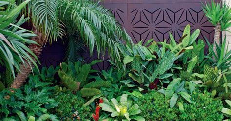 Paradise: Great Tropical Garden Plants | House Decors