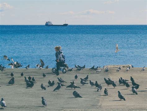 The Hidden Meanings Behind Pigeon Symbolism: Discovering the Spiritual