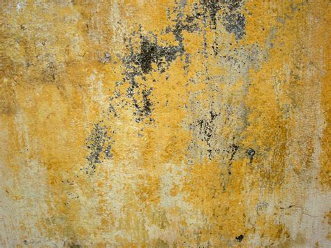 Free Yellow wall Texture Stock Photo - FreeImages.com