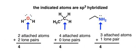 Hybridization