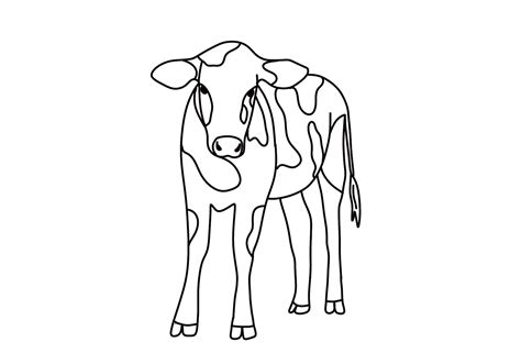 How to Draw a Cow | Design School