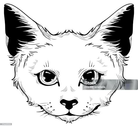 Cat Head Print Vector Drawing Monochrome On White Background Stock ...