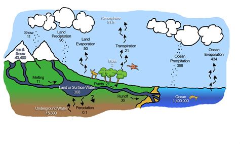 Water Cycle Diagram | 101 Diagrams