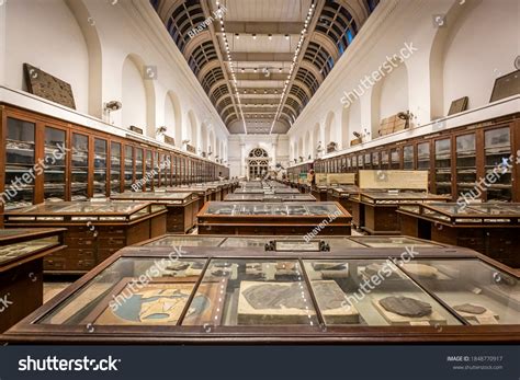 1,439 Indian museum kolkata Images, Stock Photos & Vectors | Shutterstock