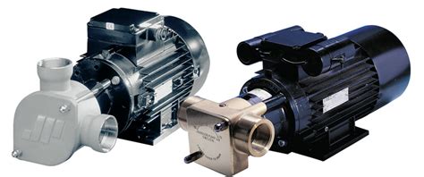 9 Different Types of Rotary Pumps + PDF | Linquip