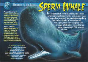 Sperm Whale | Wierd N'wild Creatures Wiki | FANDOM powered by Wikia