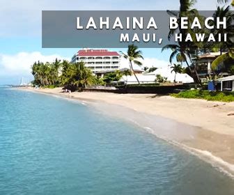 Lahaina Beach, Hawaii - Live Beaches