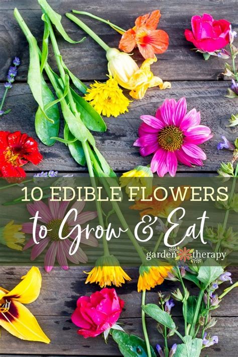 The Ten Best Edible Flowers to Grow in Your Garden