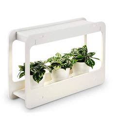 9 Best Grow Lights for Succulents! ideas | best grow lights, grow ...