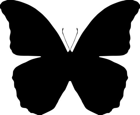 Butterfly Silhouettes - Free Vector Download | Qvectors. - Cliparts.co ...