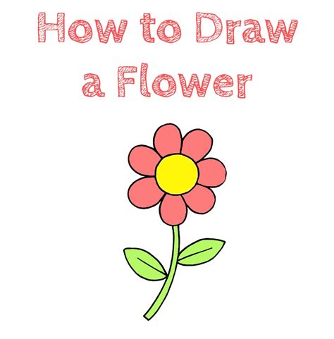 Different Types Of Flowers Drawing Easy / This plant is easy to grow ...