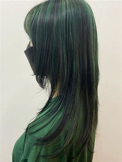 black hair with green highlights | Green hair, Dark green hair, Black ...