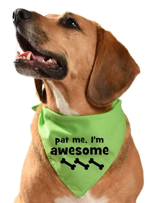 Cute and funny dog bandanas – The Prancing Dog