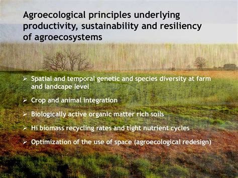 Agroecology: Principles and Practices