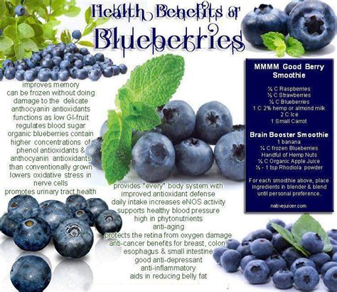 Bilberry Benefits Weight Loss - coposts