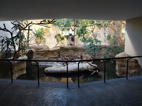 Vivarium - Freshwater crocodile enclosure - ZooChat