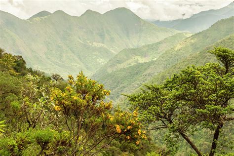 Ecuador, Andes Mountains Photograph by Jaynes Gallery