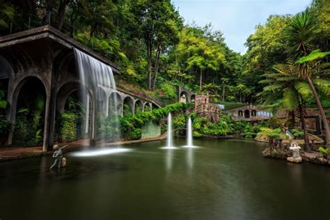 The Most Beautiful Botanical Gardens in Madeira - Places To See In Your ...