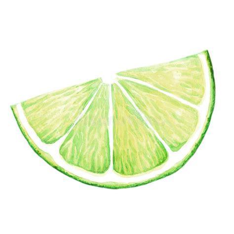 lime wedge clipart 10 free Cliparts | Download images on Clipground 2024