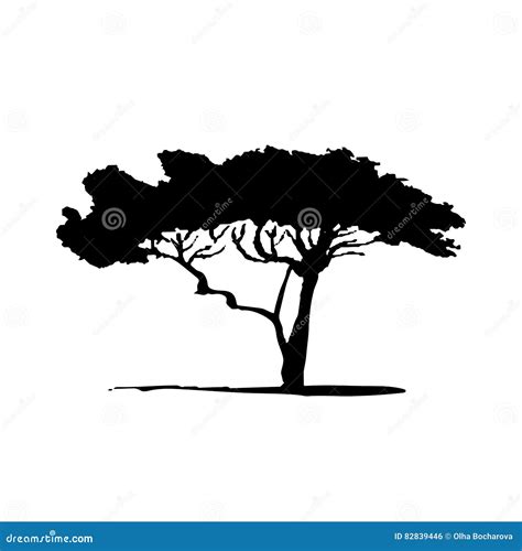 Vector Silhouette of Acacia Tree. African Flora Stock Vector ...