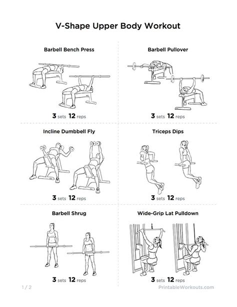 Upper Body Workout: Best Upper Body Workout Plan