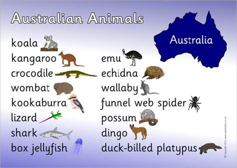 Australian Animals Names