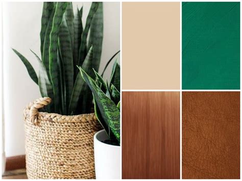 Green Earthy Color Palette for Your Living Room