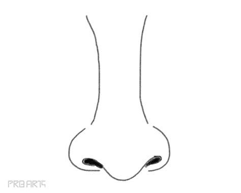 Nose Drawing - How to Draw a Nose