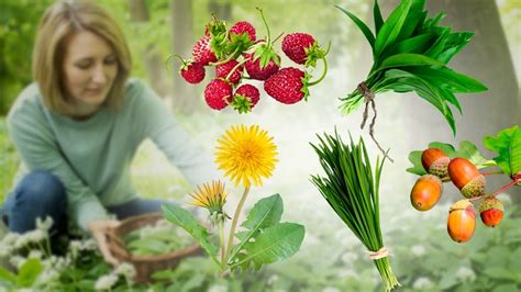 20 Edible Plants You Can Forage