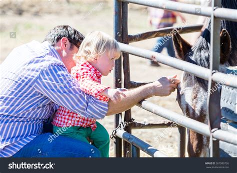 349 Petting Zoo Party Stock Photos, Images & Photography | Shutterstock