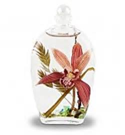 Orchid Gift Ideas | Orchids Plus