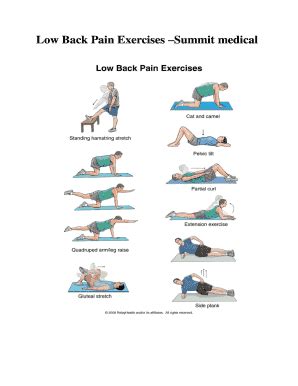 Low Back Pain Exercises - Fill and Sign Printable Template Online