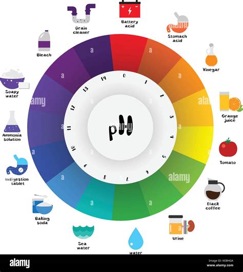 [DIAGRAM] Weak Base Ph Scale Diagram - MYDIAGRAM.ONLINE