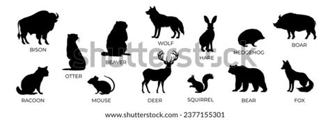 Set Forest Animals Black Silhouette Flat Stock Vector (Royalty Free ...