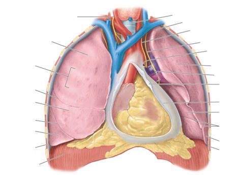 6 Diagram | Quizlet