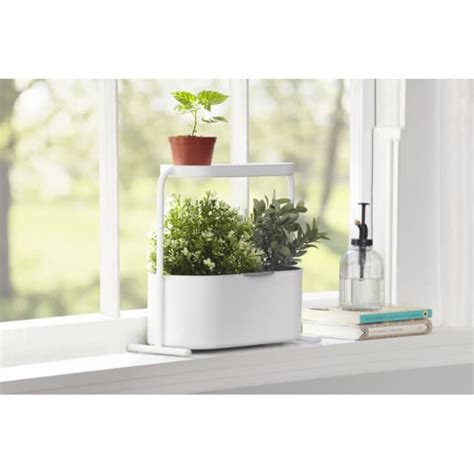 8 Best Indoor Herb Garden Planters 2021: Herbs and Vegetables | Kitchn