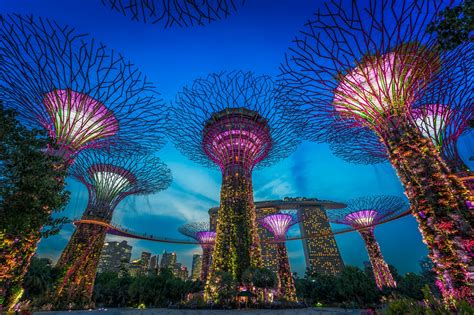 Singapore Gardens By The Bay - Bios Pics