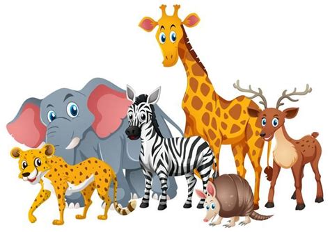 Download Wild Animals Together in Group for Free