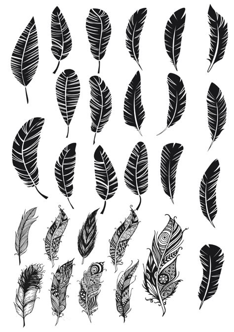 Feather Silhouette Vector Free at Vectorified.com | Collection of ...