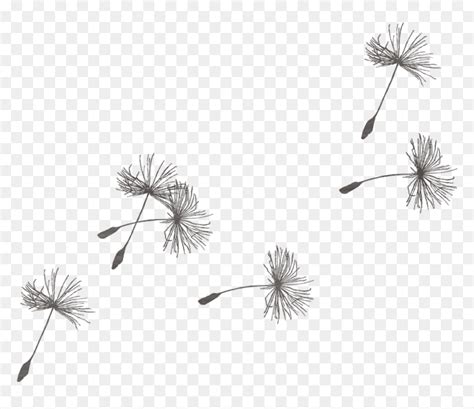 Images Of Dandelion Drawing Blowing In The Wind - Dandelion Wish Clip ...