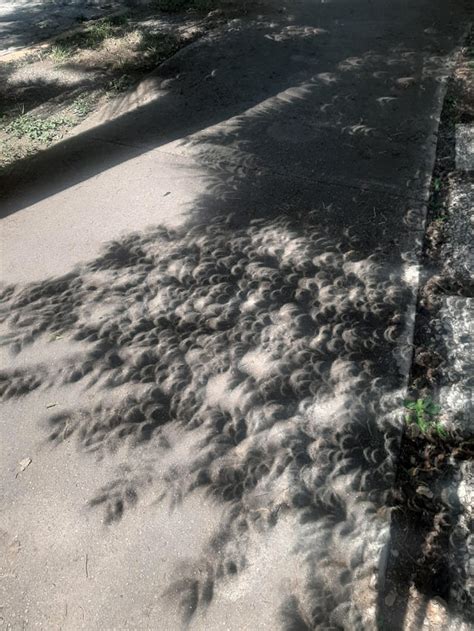 Eclipse shadow : r/pics