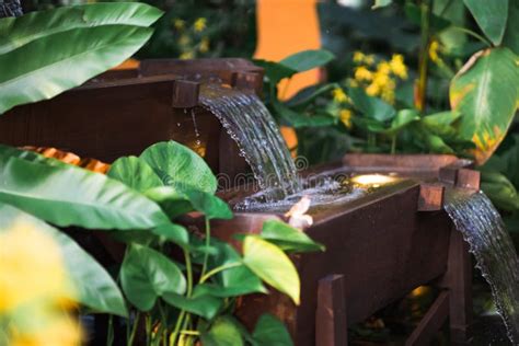 A Cascading Water Feature in a Tropical Garden Stock Photo - Image of ...