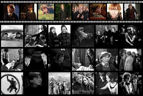 Ron Weasley - Harry Potter Photo (30488852) - Fanpop